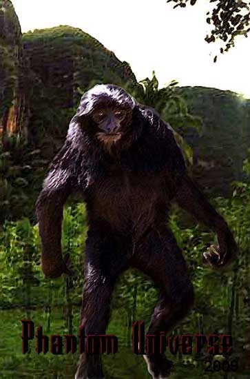 Phantom Universe Orang  Pendek  Update Jungle ape man 
