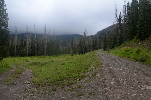 muddy road by a meadow