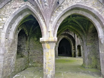 Kilcooley Abbey, Tipperary.