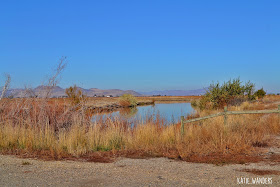 Bear River Migratory Bird Refuge