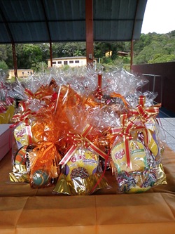 Patas 16 (6)