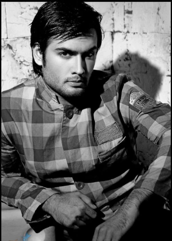 new wallpapers of vivian dsena. new wallpapers of vivian dsena