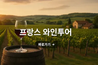 프랑스 와인투어 추천 지역 5곳