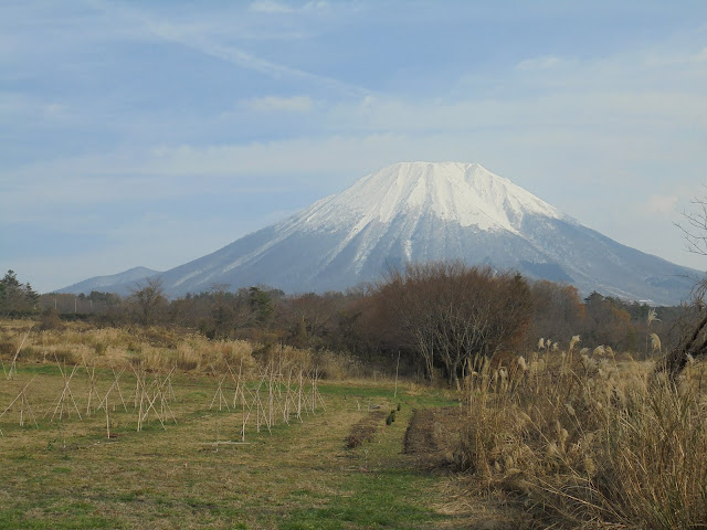 アイノピア入り口からの大山の眺望