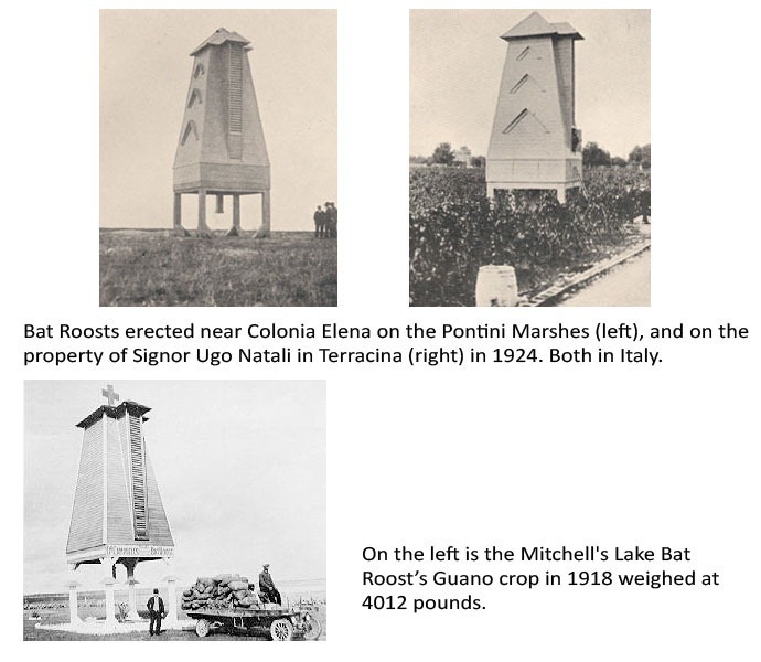campbell-bat-tower-2