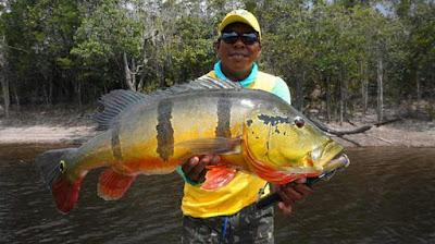 Pesca e Turismo