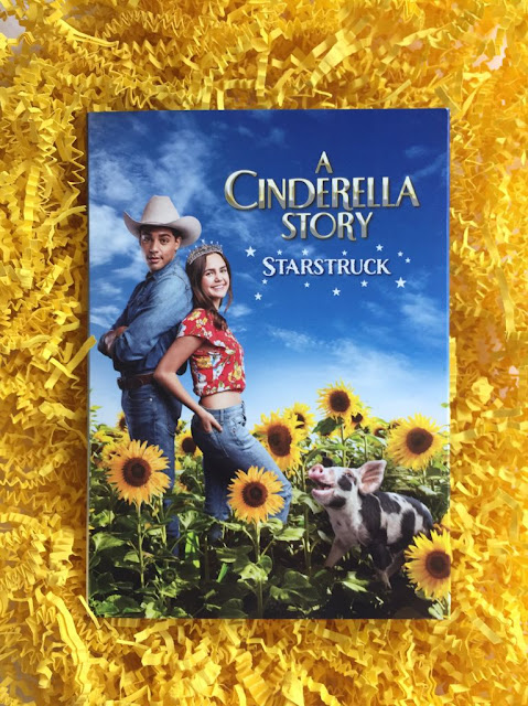 A Cinderella Story Starstruck Warner Bros DVD Movie Review