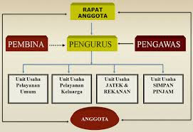 Struktur Intern Organisasi Koperasi