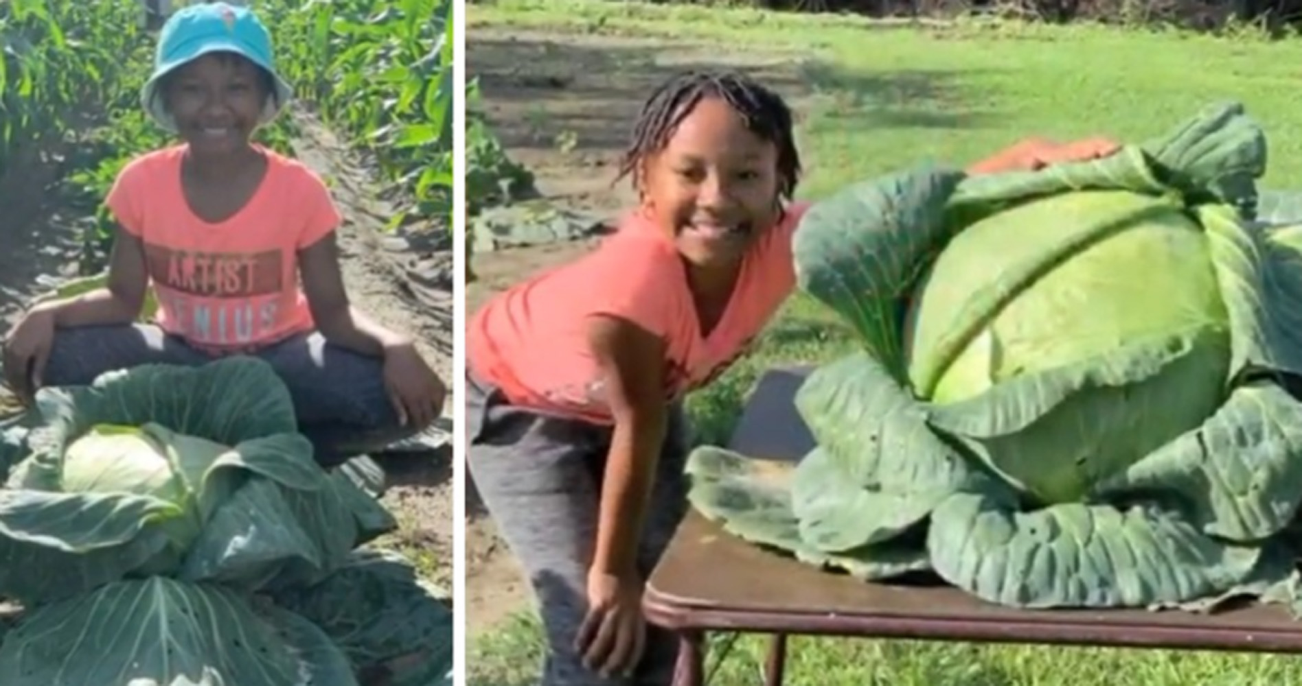 9-Year-Old Girl Grows And Harvests 31-Pound Cabbage