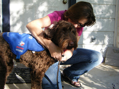 I'm kneeling at Alfie's side, buckling the chest strap of his jacket as we prepare for a walk