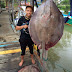 BIG CATCH! - Pari Bendera