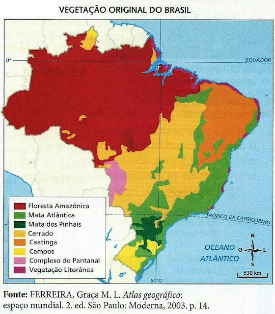 Resultado de imagem para mapa vegetaÃ§Ã£o do brasil