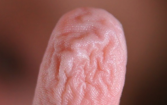 Finger Wrinkles