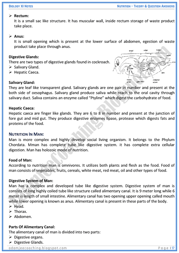 nutrition-descriptive-question-answers-biology-11th