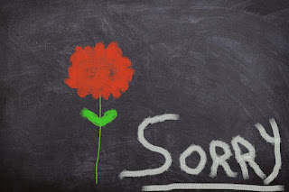 Sumber gambar : https://pixabay.com/illustrations/board-flower-excuse-me-sorry-1500391/