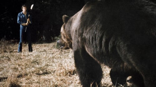Grizzli, le monstre de la forêt 1976 sur youwatch
