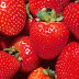 5 Health Benefits of Strawberries