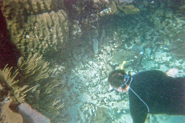 Belize Central America geology travel trip tour reef karst caves ocean coral copyright RocDocTravel.com