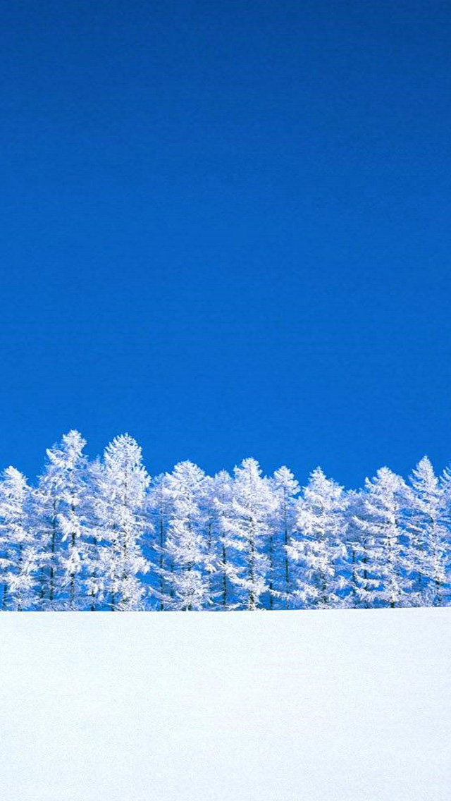 スマホ壁紙box 雪原と木々の壁紙