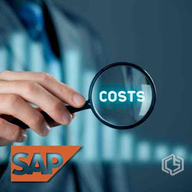 Descifrando el Reporte CECO en SAP: Centros de Costo y Eficiencia Financiera