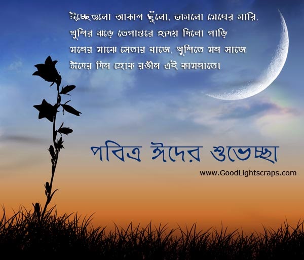 All wishes message, Greeting card and Tex Message.: Bangla 