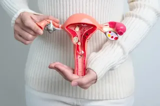 Ovarian cancer is a malignant tumor known for its poor diagnosis and resistance to immune checkpoint inhibitors
