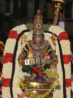 Aani,Yoga Narasimhar Thirukolam, Purappadu , Vahanam,Sri Theliya Singar, Yoga Narasimhar,Brahmotsavam ,Purappadu,Video, Divya Prabhandam,Sri Parthasarathy Perumal, Triplicane,Thiruvallikeni,Utsavam,