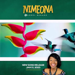 AUDIO | Angel Benard – Nimeona (Mp3 Download)