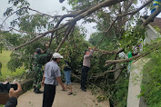 Batang Pohon Tumbang Halangi Jalan, Bhabinkamtibmas Bersinergi Dengan Babinsa serta Kades Gintungkerta Sigap Bantu Evakuasi 