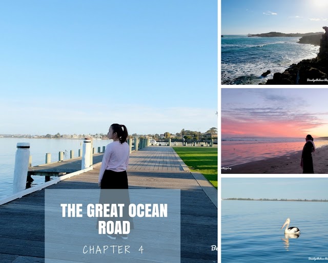 【澳洲自驾游】THE GREAT OCEAN ROAD CHAPTER 4 - 南澳，你真美！♥