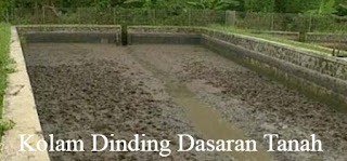 kolam dinding wadah budidaya ikan