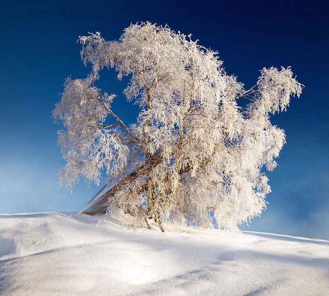 Schöne Natur Landschaftsfotografien Winter