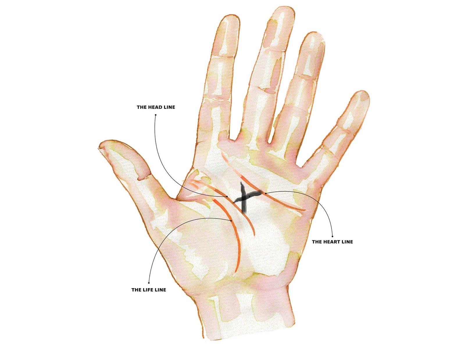 mystic cross palmistry meaning mystic cross in palm - Abhishek ...