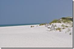2010 Destin Harbor Area 008