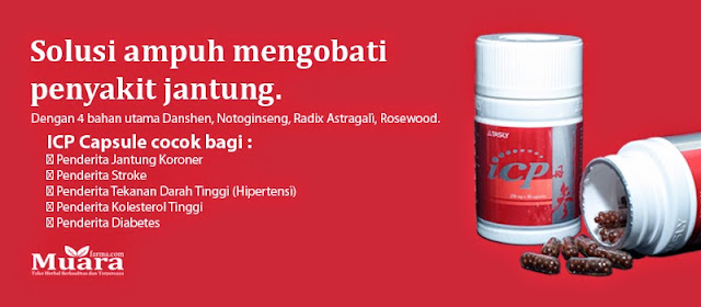 obat herbal jantung koroner akut, icp capsule, icp kapsul