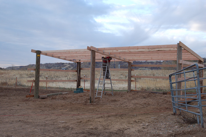 Sided Horse Shelter