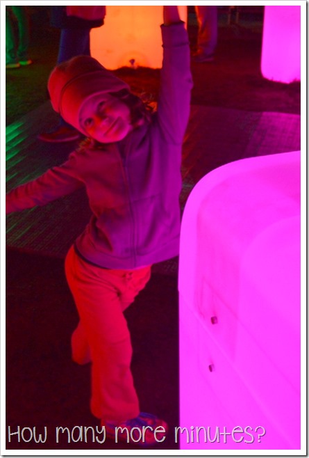 Vivid Sydney 2015 ~ How Many More Minutes?