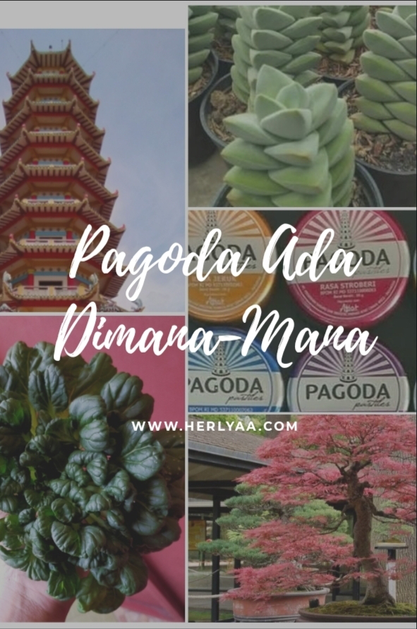 Ada Pagoda Dimana-Mana!