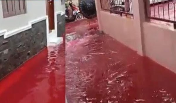 ¿Ríos de sangre? Inundación en las calles de Indonesia se tiñe de rojo, así fue el horrible momento.