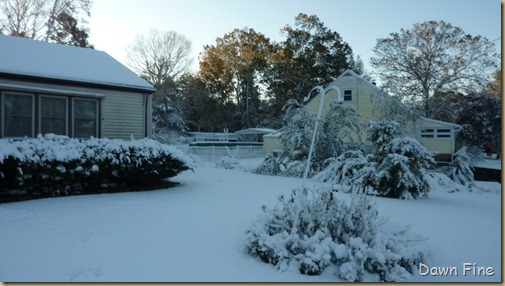 Blizzard Oct 29_014