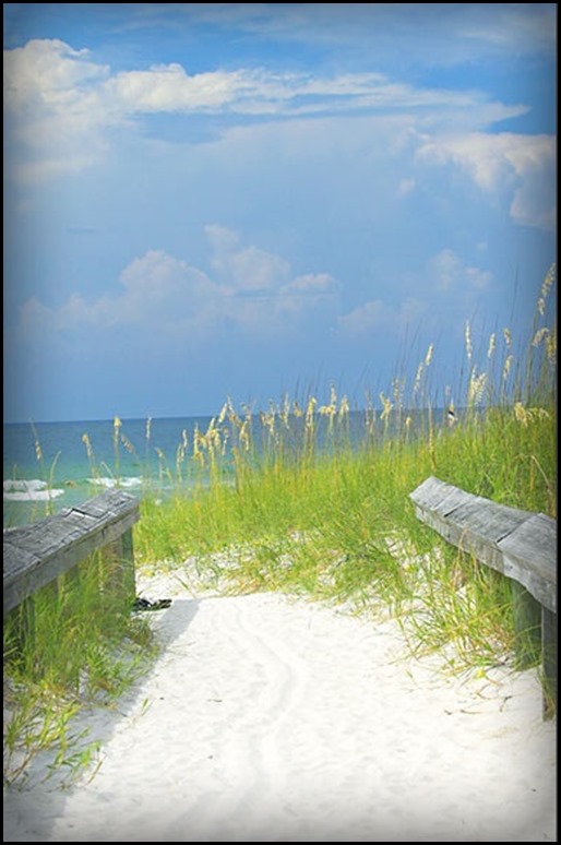 beach