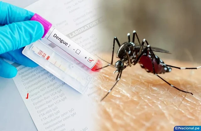 Epidemia de dengue en Perú