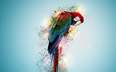 PARROT HD WALLPAPER FREE DOWNLOAD 23