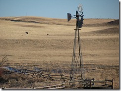 IMG_4783