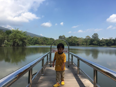 rekomendasi kafe di chiang mai