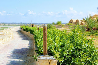 تونس ليك فيو Tunis Lake View