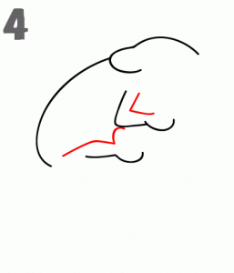 تعليم كيفية رسم الحرباء في خطوط رسم سهلة