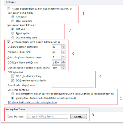 Access Seçenekleri