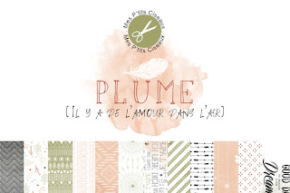 http://www.aubergedesloisirs.com/papiers/2861-plume.html