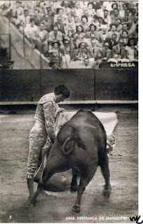 matador torero corrida andalousie linares espagne toro